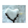 Ice Heart Post Card