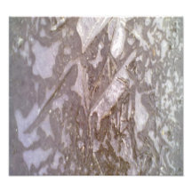 Ice on the ground photo