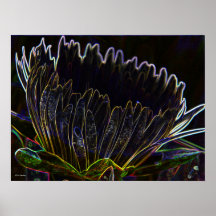 Ice Plant Poster 4
