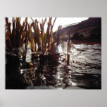Ice Reflections posters