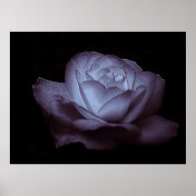 ice rose lavender poster