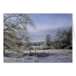 Ice storm 1 cards