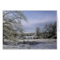 Ice storm 1 cards