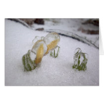 Ice Storm 2003 Greeting Cards