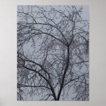 Ice Tree Print