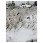 Ice Weeds flyers