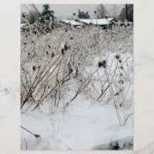 Ice Weeds Full Color Flyer