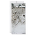 Ice Weeds rack cards