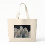 Iceberg Antarctica bags