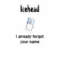 Icehead I already forgot your name teens t shirt