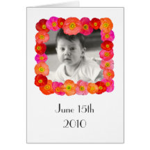 Iceland Poppies Card