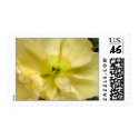 Iceland Poppy Wedding Flower Postage Stamps