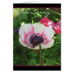 Icelandic Poppy Greeting Card