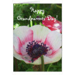 Icelandic Poppy Greeting Card