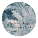 Icey stars bookplate stickers