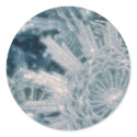 Icey stars stickers