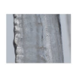 Icicle Postcard