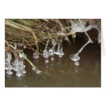 Icicles Greeting Card