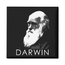 Icons of Science: Darwin Refrigerator Magnets