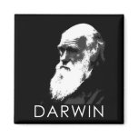 Icons of Science: Darwin magnets