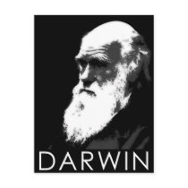 Icons of Science: Darwin Post Card