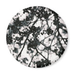 Icy Berries Magnets