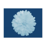 Icy Blue Marigold Postcard