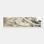 Icy Branches Bumper Stickers