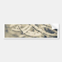 Icy Branches Bumper Stickers