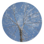 Icy Tree Sticker