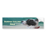 icybluebordercollie, Border Collies Rule