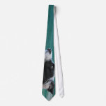 icybluebordercollie ties
