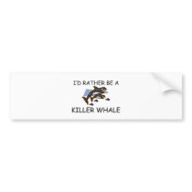 I'd Rather Be A Killer Whale