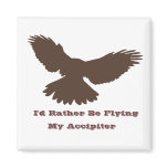 I'd Rather be Flying Fridge Magnets