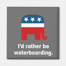 I'd rather be waterboarding magnets