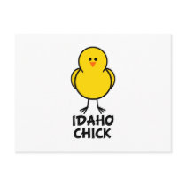 Idaho Chick Postcard
