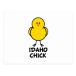 Idaho Chick Postcard