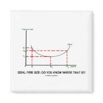 Ideal Firm Size: Do You Know Where That Is?