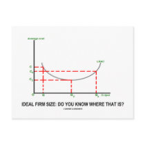 Ideal Firm Size: Do You Know Where That Is?