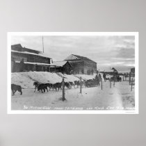 Iditarod Alaska Birdseye 1914 Print