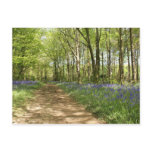 Idless Woods postcards