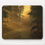 Idyll Mousepad