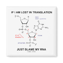 If I Am Lost In Translation Just Blame My RNA