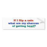 If I Flip a Coin Bumpersticker