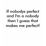 If nobodys perfect and I'm a nobody then I gues... t-shirts