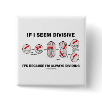 If Seem Divisive It's Because I'm Always Dividing