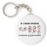 If Seem Divisive It's Because I'm Always Dividing keychains