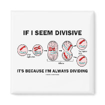 If Seem Divisive It's Because I'm Always Dividing