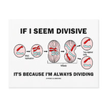 If Seem Divisive It's Because I'm Always Dividing