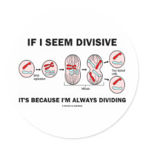 If Seem Divisive It's Because I'm Always Dividing